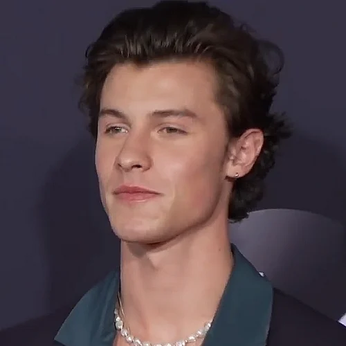 Shawn Mendes a un evento pubblico