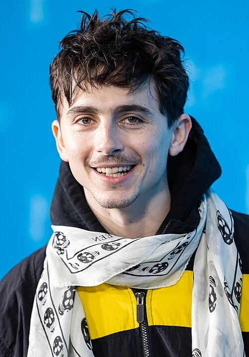 Timothée Chalamet à la Berlinale