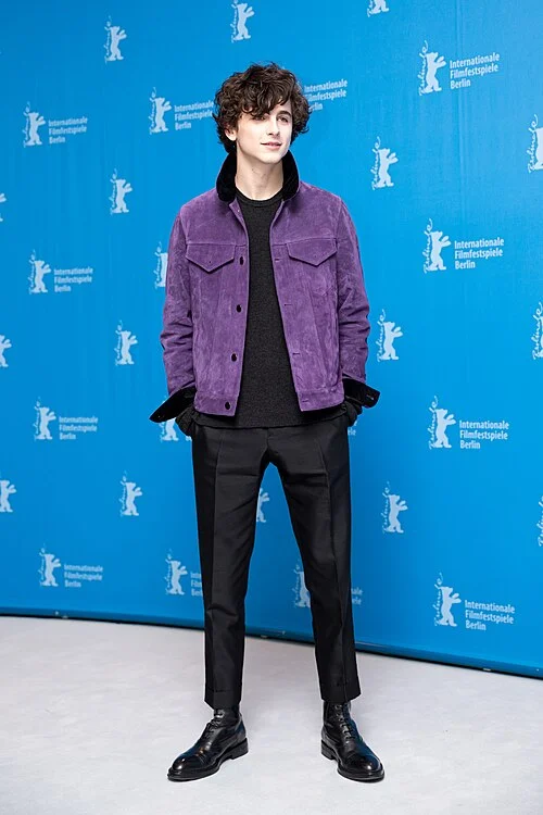 Timothée Chalamet — Berlinale, 2017.