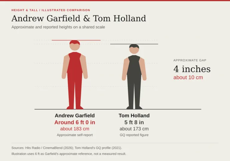 Confronto illustrato tra i circa sei piedi dichiarati da Andrew Garfield e i cinque piedi e otto pollici riportati per Tom Holland, con uno scarto di circa quattro pollici o dieci centimetri